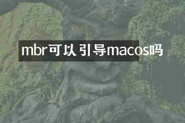 mbr可以引导macos吗
