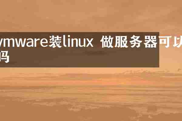 vmware装linux 做服务器可以吗