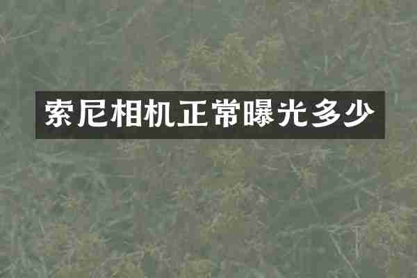 索尼相机正常曝光多少
