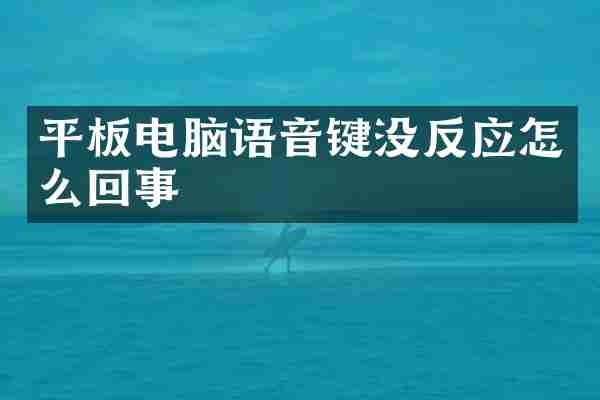 平板电脑语音键没反应怎么回事