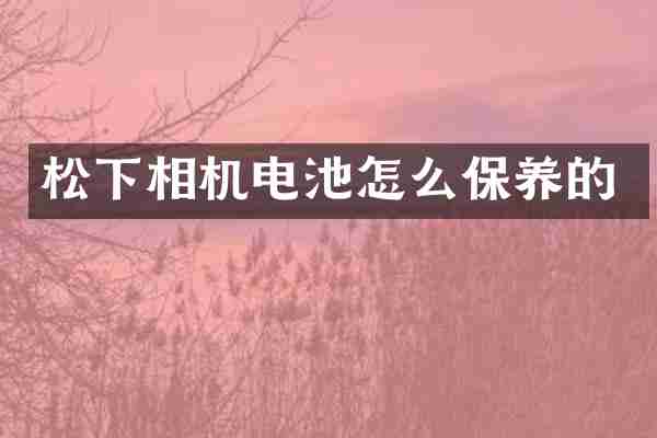 松下相机电池怎么保养的