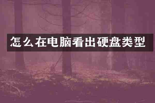 怎么在电脑看出硬盘类型