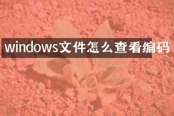 windows文件怎么查看编码