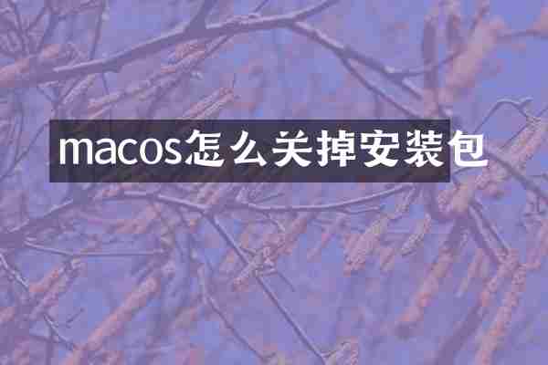 macos怎么关掉安装包