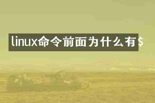 linux命令前面为什么有$