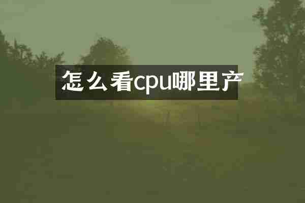 怎么看cpu哪里产
