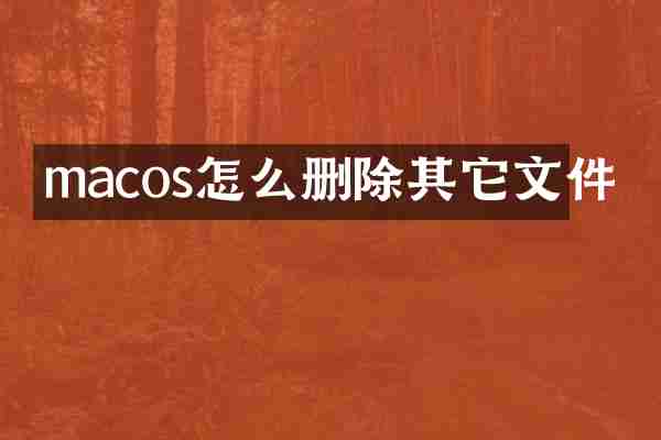 macos怎么删除其它文件
