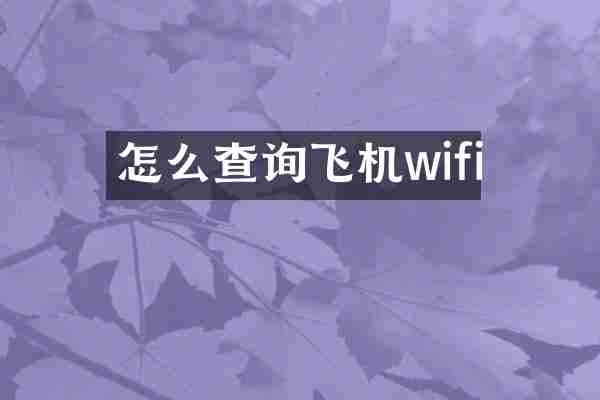 怎么查询飞机wifi