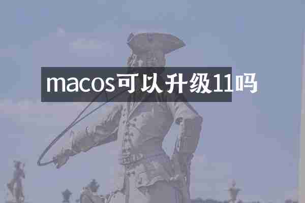 macos可以升级11吗