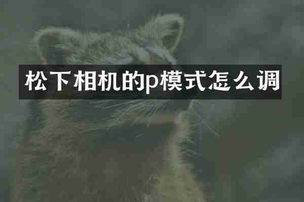 相机的p模式怎么调