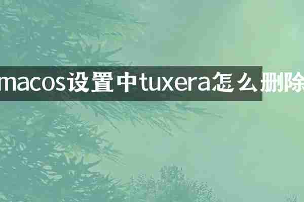 macos设置中tuxera怎么删除