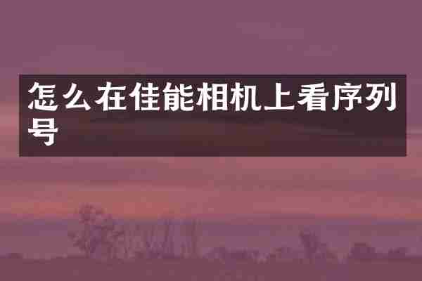 怎么在佳能相机上看序列号