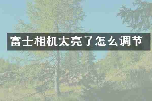 富士相机太亮了怎么调节