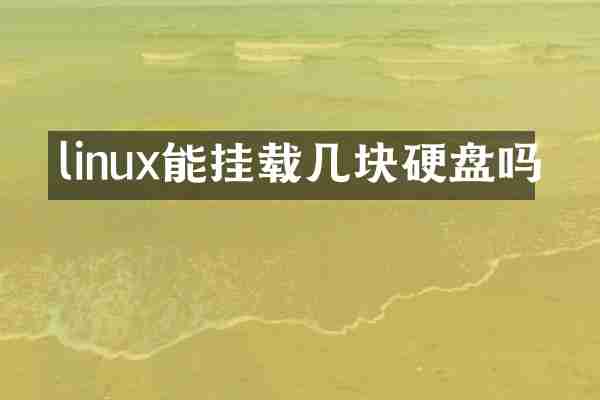 linux能挂载几块硬盘吗