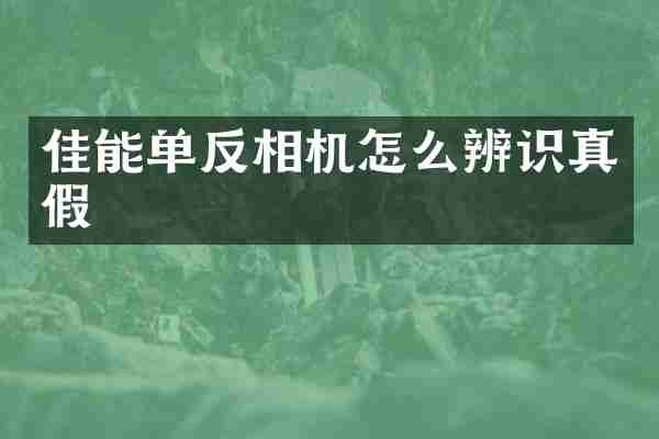 佳能单反相机怎么辨识真假