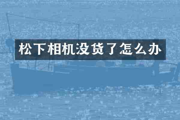 相机没货了怎么办