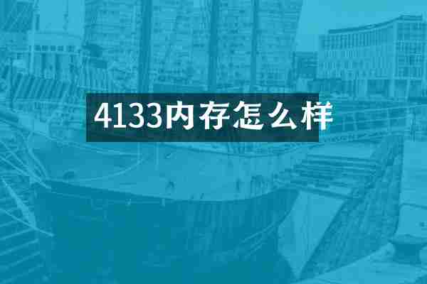 4133内存怎么样