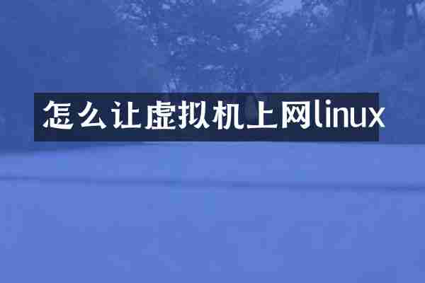 怎么让虚拟机上网linux