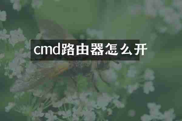 cmd路由器怎么开