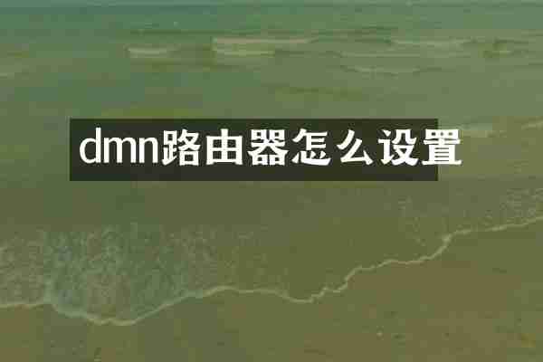 dmn路由器怎么设置