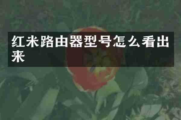 红米路由器型号怎么看出来