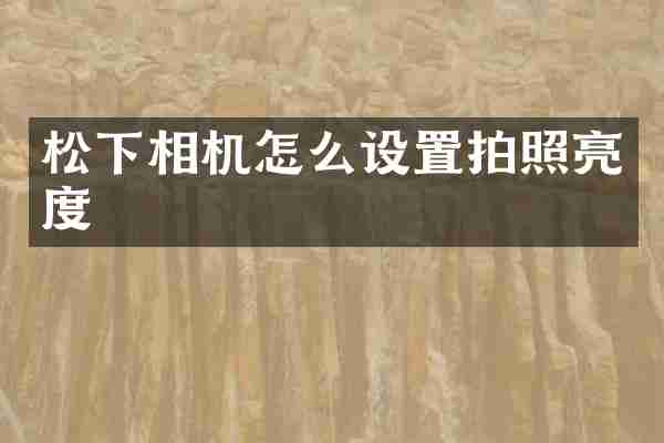 相机怎么设置拍照亮度