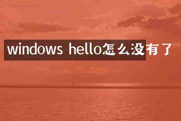 windows hello怎么没有了