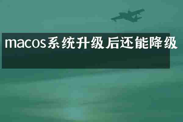 macos系统升级后还能降级吗
