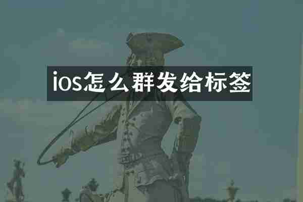 ios怎么给标签