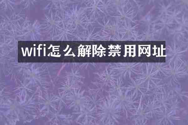 wifi怎么解除禁用网址