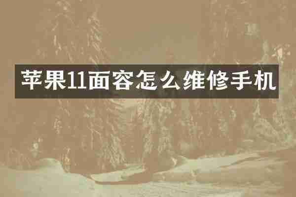 苹果11面容怎么维修手机