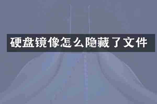 硬盘镜像怎么隐藏了文件
