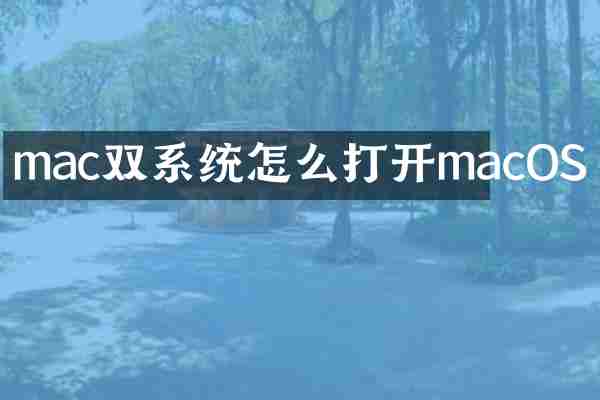mac双系统怎么打开macOS