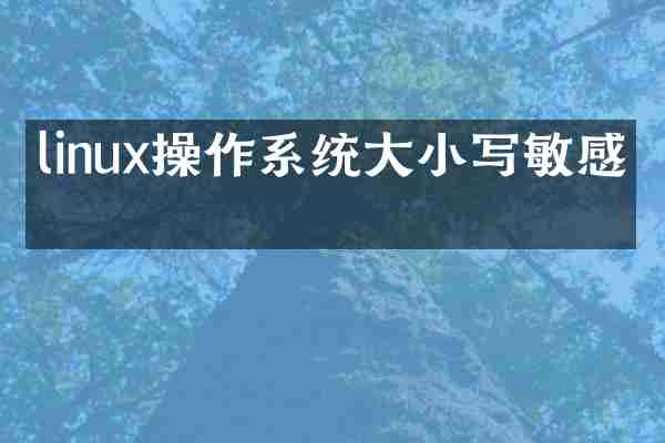 linux操作系统大小写敏感吗