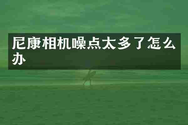 尼康相机噪点太多了怎么办