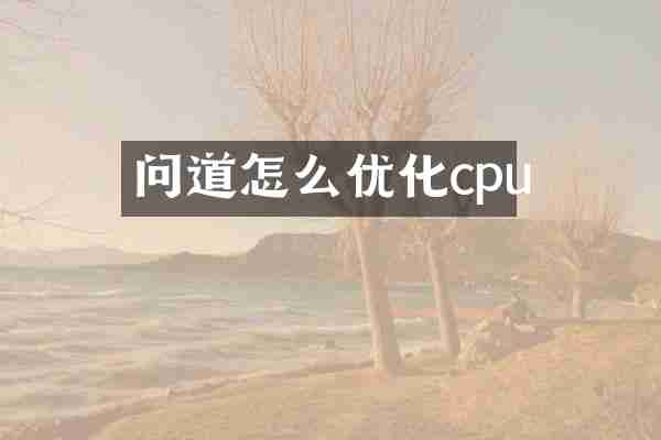 问道怎么优化cpu