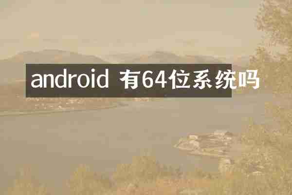 android 有64位系统吗