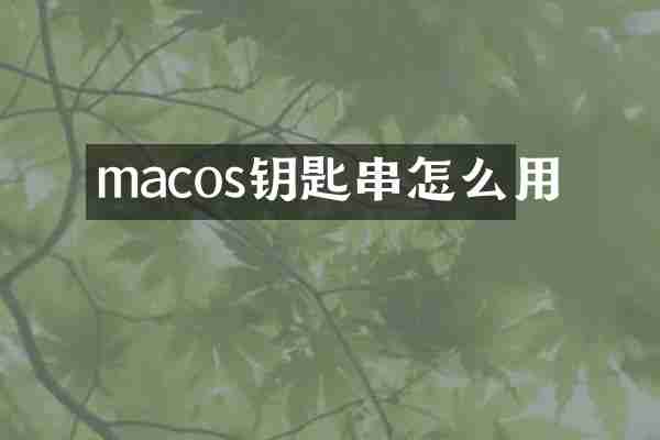 macos钥匙串怎么用