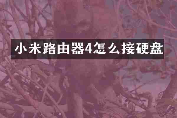 小米路由器4怎么接硬盘