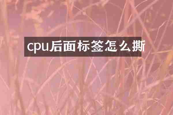 cpu后面标签怎么撕