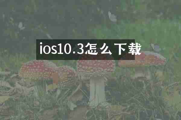ios10.3怎么下载