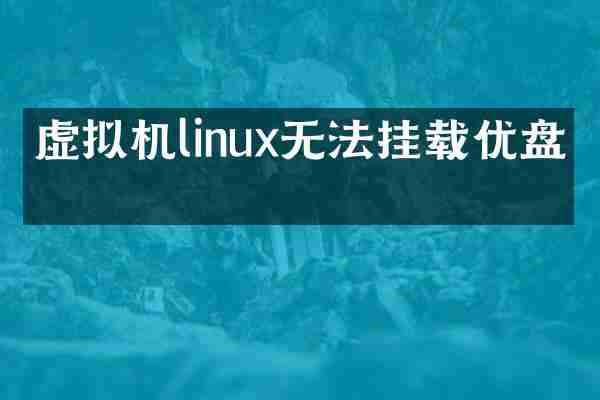 虚拟机linux无法挂载优盘吗