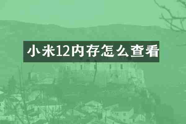 小米12内存怎么查看