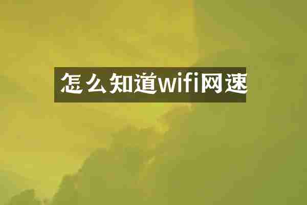 怎么知道wifi网速