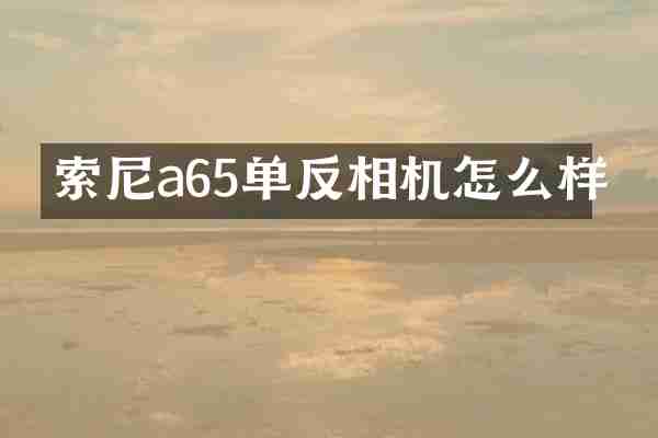 索尼a65单反相机怎么样