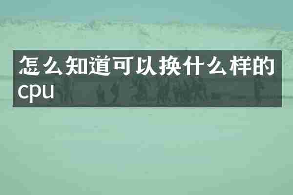 怎么知道可以换什么样的cpu