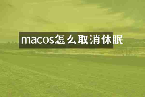 macos怎么取消休眠