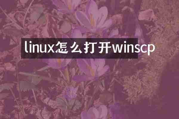 linux怎么打开winscp