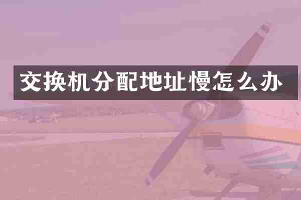 交换机分配地址慢怎么办
