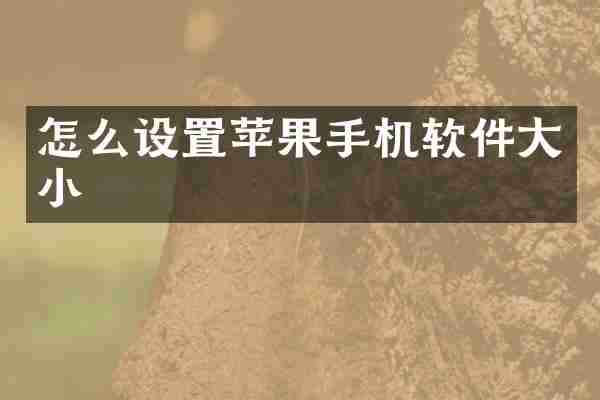 怎么设置苹果手机软件大小